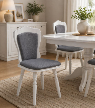 Столица ЈАНА *по нарачка ПС 