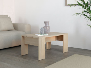 Клуб маса МОНТЕСЕ 