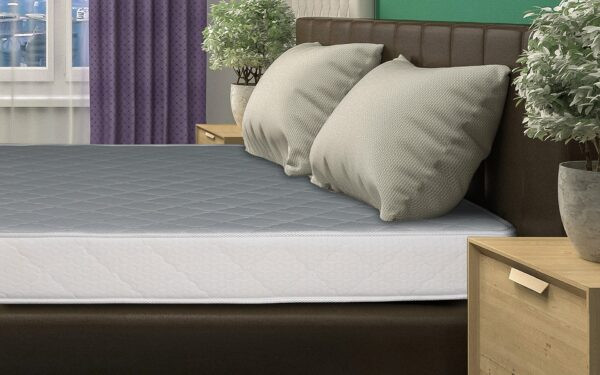 Душек ЕКОНОМИК 160/190 Авис 